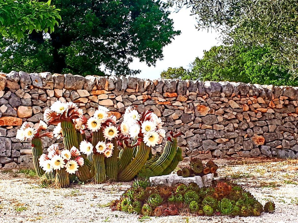 Casa Relax Isabelle Bed & Breakfast Alberobello Exterior photo